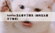 twitter怎么看不了推文（推特怎么看不了推文）
