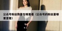 公众号粉丝数量在哪里看（公众号的粉丝量哪里查看）