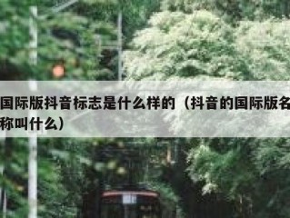 国际版抖音标志是什么样的（抖音的国际版名称叫什么）