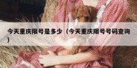 今天重庆限号是多少（今天重庆限号号码查询）