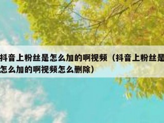 抖音上粉丝是怎么加的啊视频（抖音上粉丝是怎么加的啊视频怎么删除）