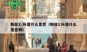 粉丝1.3k是什么意思（粉丝13k是什么意思啊）