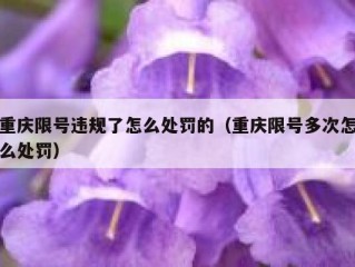 重庆限号违规了怎么处罚的（重庆限号多次怎么处罚）