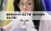 国外的twitter怎么下载（国外的推特怎么下载）