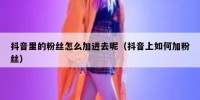 抖音里的粉丝怎么加进去呢（抖音上如何加粉丝）