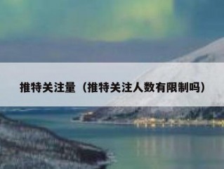 推特关注量（推特关注人数有限制吗）