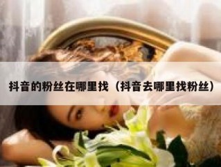 抖音的粉丝在哪里找（抖音去哪里找粉丝）