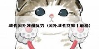 域名国外注册优势（国外域名商哪个最稳）