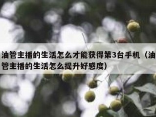 油管主播的生活怎么才能获得第3台手机（油管主播的生活怎么提升好感度）