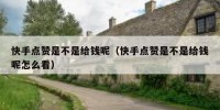 快手点赞是不是给钱呢（快手点赞是不是给钱呢怎么看）