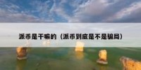 派币是干嘛的（派币到底是不是骗局）