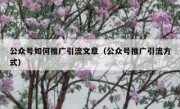公众号如何推广引流文章（公众号推广引流方式）