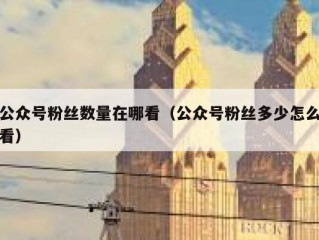 公众号粉丝数量在哪看（公众号粉丝多少怎么看）