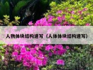 人物体块结构速写（人体体块结构速写）