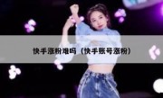 快手涨粉难吗（快手账号涨粉）