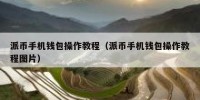 派币手机钱包操作教程（派币手机钱包操作教程图片）