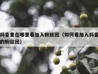 抖音里在哪里看加入粉丝团（如何看加入抖音的粉丝团）