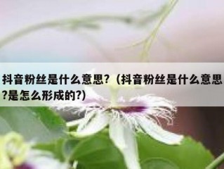 抖音粉丝是什么意思?（抖音粉丝是什么意思?是怎么形成的?）