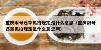 重庆限号违章抓拍规定是什么意思（重庆限号违章抓拍规定是什么意思啊）