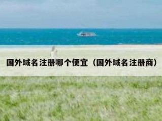 国外域名注册哪个便宜（国外域名注册商）