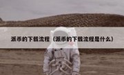 派币的下载流程（派币的下载流程是什么）