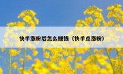 快手涨粉后怎么赚钱（快手点涨粉）