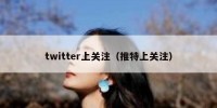 twitter上关注（推特上关注）