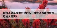 推特上怎么搜索附近的人（推特上怎么搜索附近的人聊天）