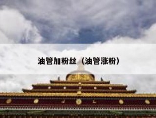 油管加粉丝（油管涨粉）