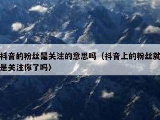 抖音的粉丝是关注的意思吗（抖音上的粉丝就是关注你了吗）