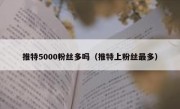 推特5000粉丝多吗（推特上粉丝最多）