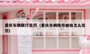 重庆车辆限行处罚（重庆车辆限号被拍怎么处罚）