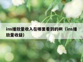 ins播放量收入在哪里看到的啊（ins播放量收益）