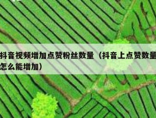 抖音视频增加点赞粉丝数量（抖音上点赞数量怎么能增加）