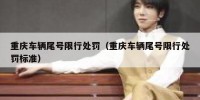 重庆车辆尾号限行处罚（重庆车辆尾号限行处罚标准）