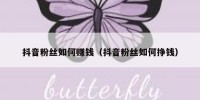 抖音粉丝如何赚钱（抖音粉丝如何挣钱）