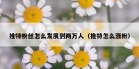 推特粉丝怎么发展到两万人（推特怎么涨粉）