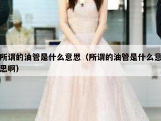 所谓的油管是什么意思（所谓的油管是什么意思啊）