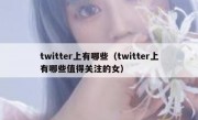 twitter上有哪些（twitter上有哪些值得关注的女）