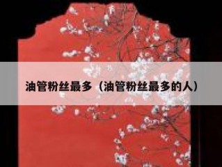 油管粉丝最多（油管粉丝最多的人）