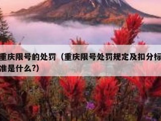 重庆限号的处罚（重庆限号处罚规定及扣分标准是什么?）