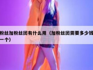 粉丝加粉丝团有什么用（加粉丝团需要多少钱一个）