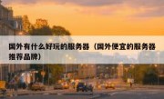 国外有什么好玩的服务器（国外便宜的服务器推荐品牌）