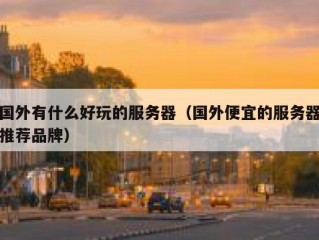 国外有什么好玩的服务器（国外便宜的服务器推荐品牌）