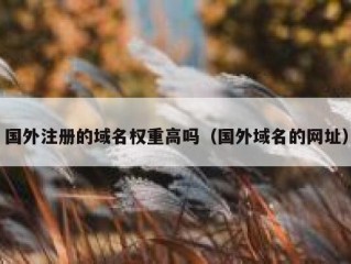 国外注册的域名权重高吗（国外域名的网址）