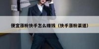 便宜涨粉快手怎么赚钱（快手涨粉渠道）