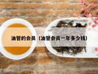油管的会员（油管会员一年多少钱）