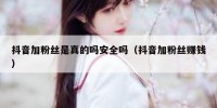 抖音加粉丝是真的吗安全吗（抖音加粉丝赚钱）