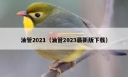 油管2021（油管2023最新版下载）