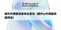 国外代理服务器地址查询（国外ip代理服务器网站）